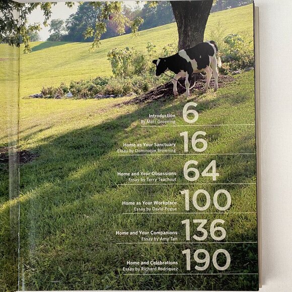 America at Home by Rick Smolan & Jennifer Erwitt - Picture 4 of 13